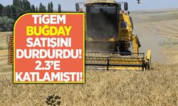 TİGEM ekmeklik ve makarnalık buğday satışını durdurdu!