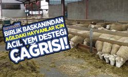 Birlik Başkanından ağıldaki hayvanlar için acil yem desteği çağrısı!