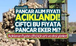 Pancar alım fiyatı açıklandı! 2022 yılı pancar alım fiyatı çiftçi için ne anlam ifade ediyor?