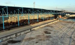 Sakarya'da manda üreticilerine dev tesis!
