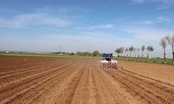 Tarım ve hayvancılık (2022 yılı) hibe destekleri! Girişimcilere 40 milyon avro, gençlere 200 milyon lira hibe desteği verilecek!
