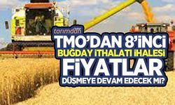 TMO 8’inci ekmeklik buğday ihalesine çıkıyor! Fiyatlar merak ediliyor!