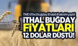 TMO 8’nci buğday ithalatı ihalesini yaptı! İthal buğday fiyatları tonda 12 dolar düştü! 