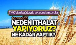 TMO'dan buğdayda sık sorulan sorular: Neden ithalat yapıyoruz, ne kadar yaptık?  
