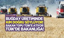 Türkiye'nin gerçek buğday üretim rakamı ne kadar? Bakan topu TÜİK'e atıyor TÜİK de Bakanlığa!
