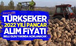Türkşeker 2022 yılı pancar alım fiyatı belli oldu! Yakında açıklanacak...