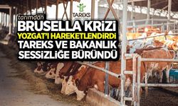 Brusella krizi Yozgat'ı hareketlendirdi Tareks Hayvancılık sessizliğe büründü