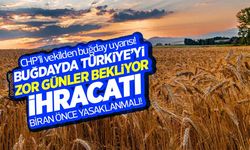 CHP'li vekil: Türkiye'yi buğdayda zor günler bekliyor ihracatı biran önce yasaklanmalı!