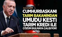 Cumhurbaşkanı Tarım Bakanından umudu kesti Tarım Kredi ile çözüm bulmaya çalışıyor!