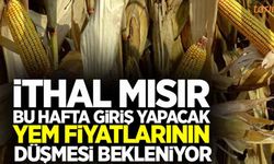 İthal mısır yem fiyatlarını düşürecek!