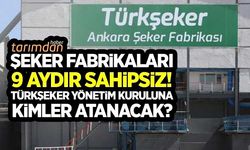 Şeker fabrikaları 9 aydır sahipsiz! Türkşeker Yönetim Kurulu'na kimler atanacak?