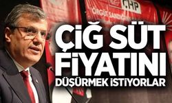 Süt fiyatını düşürmek istiyorlar