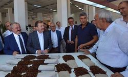 TMO Genel Müdürü üzüm üreticisini uyardı: 4 liranın altına satmayın
