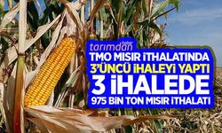 TMO mısır ithalatında 3'üncü ihalesini yaptı! 3 ihalede toplam 975 bin ton mısır ithalatı!