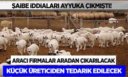 500 bin koyunda aracı firmalar aradan çıkarılacak!