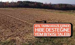 Atıl tarım arazilerinde hibe desteğine yem bitkisi talebi!