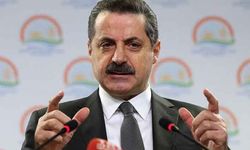 Bakan Çelik: Küpe sorununu ortadan kaldıracağız