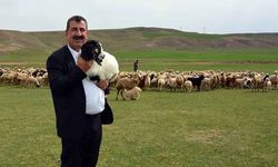 Birlik Başkanından kuzu ölümlerinin önlenmesi için önemli uyarılar!