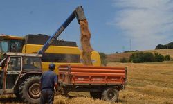Buğday ithalatına Ukrayna ile geçici çözüm!