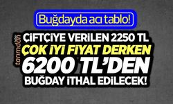 Buğdayda acı tablo! Çiftçiye verilen 2250 TL çok iyi fiyat derken 6200 TL’den buğday ithal edilecek! 