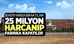 Çarşamba Şeker Fabrikası'nda şeker üretimi yılan hikayesine döndü!