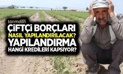 Çiftçi borçları nasıl yapılandırılacak? Yapılandırma hangi kredileri kapsıyor?