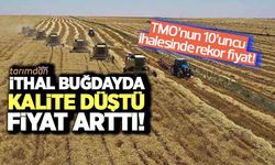 İthal buğdayda kalite düştü fiyat arttı! TMO'nun 10'uncu ihalesinde rekor fiyat!