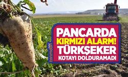 Pancarda kırmızı alarm! Türkşeker kotası kadar çiftçiden taahhüt alamadı!