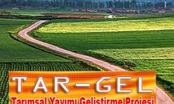 Tar-Gel ve Lisans Tamamlama masaya geldi