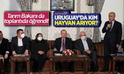 Tarım Bakanı da toplantıda öğrendi! Uruguay’da kim hayvan arıyor? 