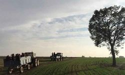 Tarımda Milli Birlik Projesine yönelik sektör raporu!