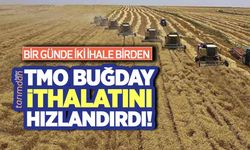 TMO buğday ithalatını hızlandırdı! Bir günde iki ihale birden yapacak!