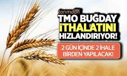 TMO buğday ithalatını hızlandırıyor! 2 günde 2 ihale birden yapılacak!