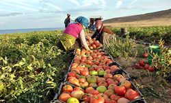 Türkiye’nin Tarımdaki Potansiyeli Olağanüstü