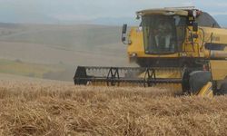 Arpa buğday fiyatları düştü mü? 21 Nisan Gaziantep arpa buğday ve bakliyat fiyatları...