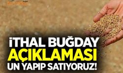 Bakanlıktan ithal buğday açıklaması