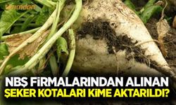 Cargill’in kotası Türkşeker’e aktarıldı!