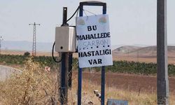 Hastalıkla hayvanlar nasıl ithal edildi?