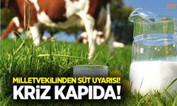 Milletvekilinden süt krizi uyarısı!