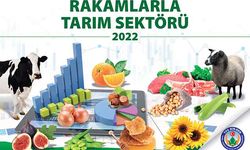 Rakamlarla Tarım Sektörü kitabı güncellendi!