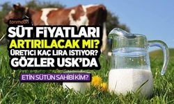 Süt fiyatları artırılacak mı? Üretici kaç lira fiyat bekliyor? Gözler Ulusal Süt Konseyi’nde 