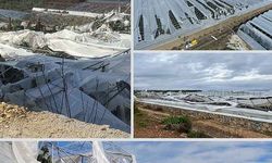 TARSİM'den Antalya'da doğal afetten etkilenen çiftçilerle ilgili açıklama!