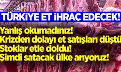 Türkiye et ihracatına hazırlanıyor!