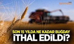 Türkiye son 15 yılda ne kadar buğday ithal etti?