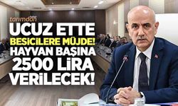 Ucuz ette besicilere müjde! Hayvan başına 2500 lira ödeme yapılacak!
