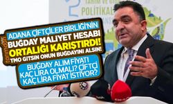 Adana Çiftçiler Birliği’nin buğday maliyet hesabı ortalığı karıştırdı! Buğday alım fiyatı kaç lira olmalı? Çiftçi kaç lira fiyat istiyor?