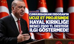 Cumhurbaşkanı Erdoğan'ın ucuz et projesinde tam bir hayal kırıklığı! Besici 2500 lira desteğe ilgi göstermedi!