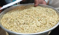 Hasatla birlikte arpa fiyatları takip ediliyor! Mardin'den sonra Şanlıurfa'da da ilk arpa 9 bin liraya satıldı!