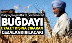 Kuzey Sudan buğday ihracatını yasakladı!