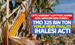 Son Dakika: TMO 325 bin tonluk yemlik mısır ithalatı için ihale açtı!